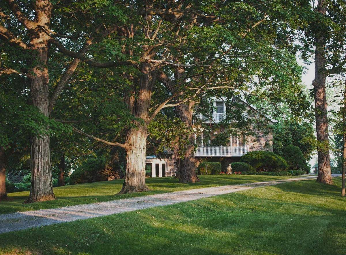 Dense healthy lawn after aeration in Guelph