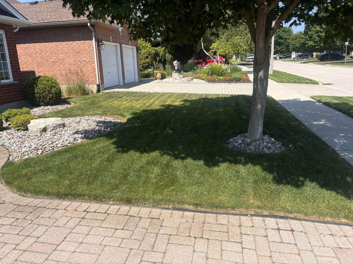 Striped weekly-mow lawn in Guelph