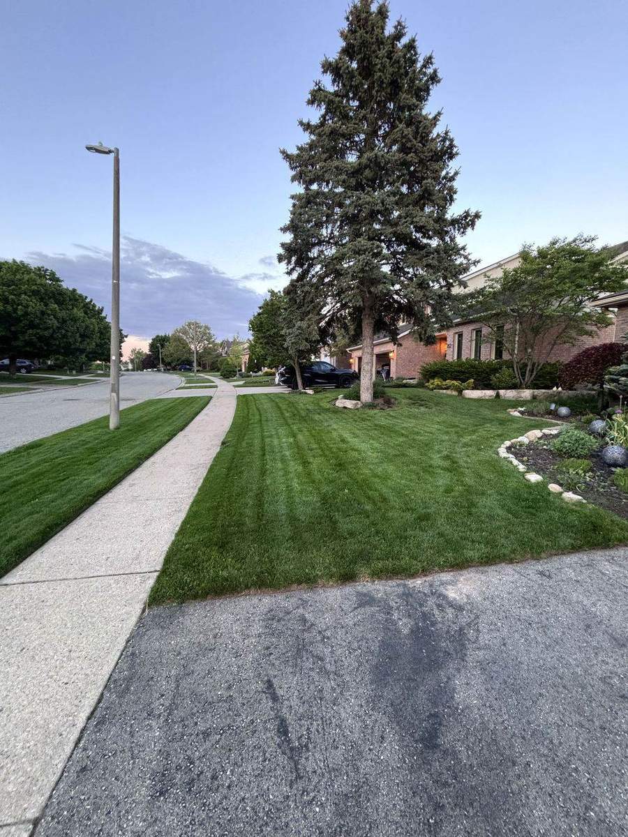 Deep green fertilized and striped lawn at a Guelph property