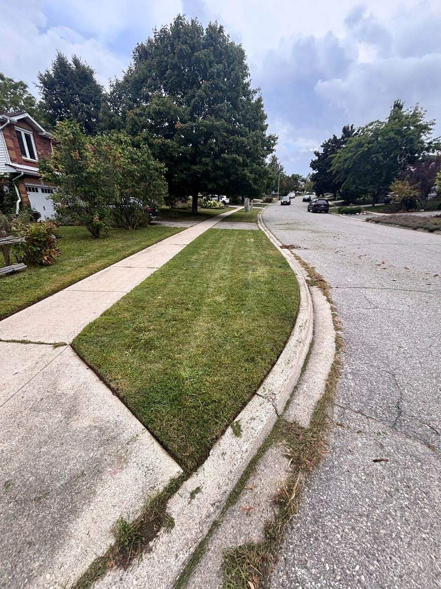 A Guelph front yard fully tidied after a Yardex visit