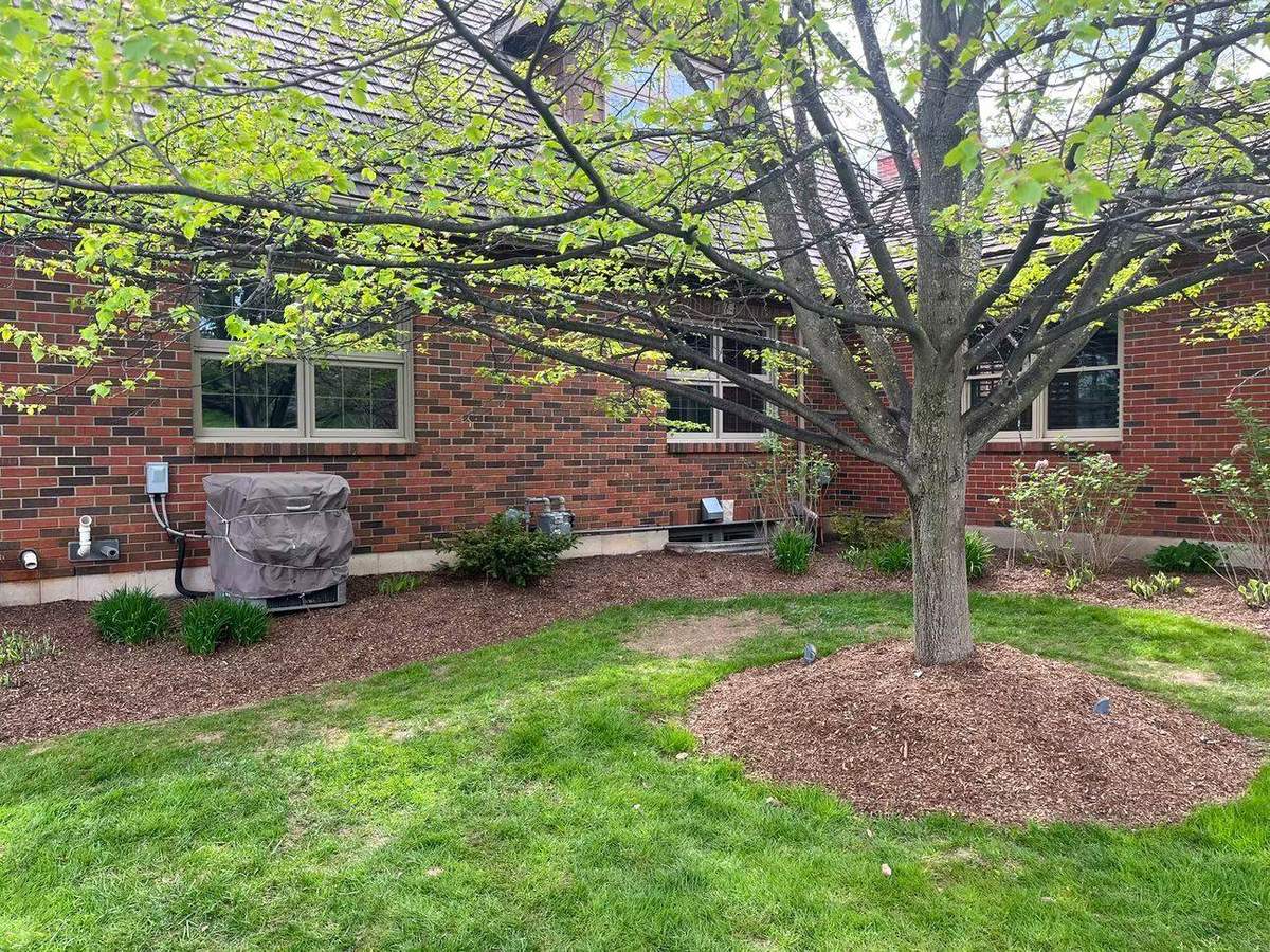 Fresh mulch installed around a tree in Guelph